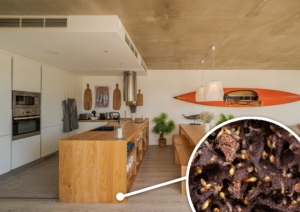 5 Essential Steps on How to Prepare for a Termite Inspection Successfully
