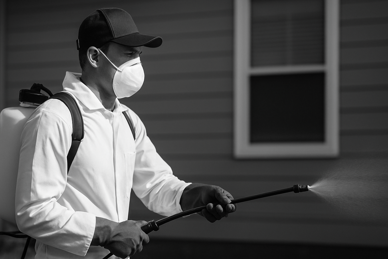 9 Essential Insights for Effective Pest Control in Dubai