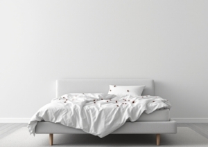 5 Essential Insights for Effective Bed Bug Control Dubai